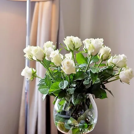 116 Duzy Rodzinny Z Aneksem Kuchennym 200 M Od Morza * コウォブジェク