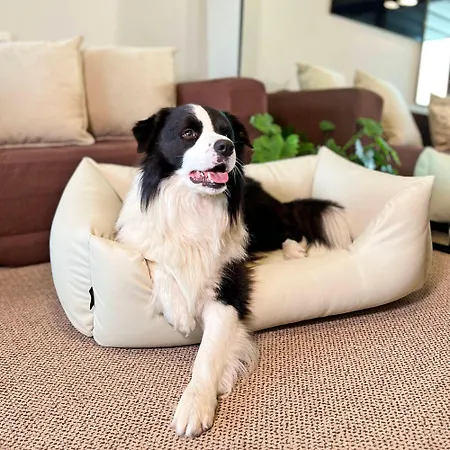 116 Duzy Rodzinny Z Aneksem Kuchennym 200 M Od Morza